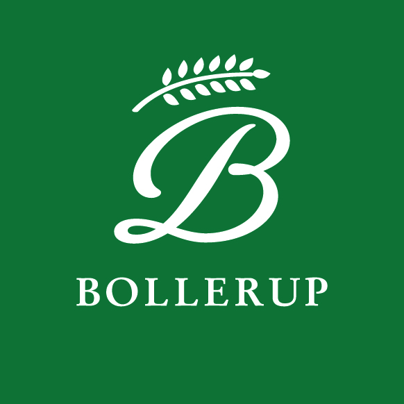 Bollerup